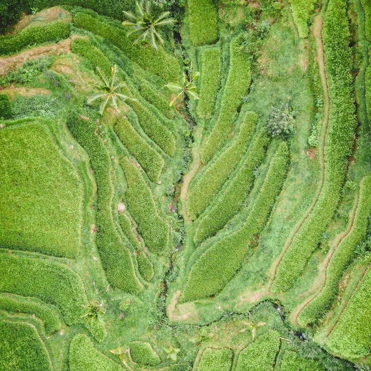 Entertainment zone at night in United States